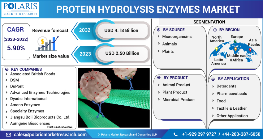 Protein Hydrolysis Enzymes Market 2023 Report